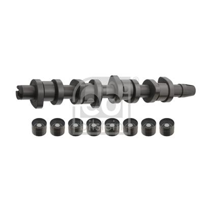 Febi Camshaft Kit 33197