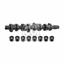 Febi Camshaft Kit 33195