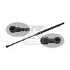 Febi Rear Screen Windscreen Gas Spring 34414