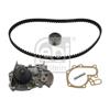 Febi Water Pump And Timing Belt Set 34641