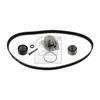 Febi Water Pump And Timing Belt Set 34642