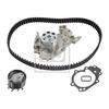 Febi Water Pump And Timing Belt Set 43751