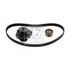 Febi Water Pump And Timing Belt Set 45100