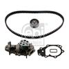 Febi Water Pump And Timing Belt Set 45102