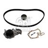 Febi Water Pump And Timing Belt Set 45104