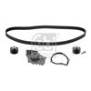 Febi Water Pump And Timing Belt Set 45108