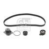 Febi Water Pump And Timing Belt Set 45113