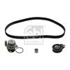 Febi Water Pump And Timing Belt Set 45115
