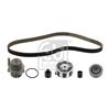 Febi Water Pump And Timing Belt Set 45116