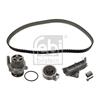Febi Water Pump And Timing Belt Set 45132