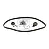 Febi Water Pump And Timing Belt Set 45142