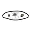 Febi Water Pump And Timing Belt Set 45143