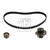 Febi Water Pump And Timing Belt Set 45176
