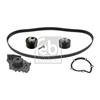 Febi Water Pump And Timing Belt Set 46411