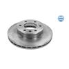 2x MEYLE Brake Disc 015 521 2101