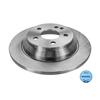 2x MEYLE Brake Disc 015 523 0042