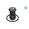 MEYLE Antifreeze Coolant Thermostat 100 121 1025