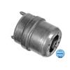 MEYLE Engine Mounting 100 199 0075