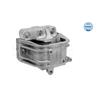 MEYLE Engine Mounting 100 199 0113