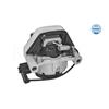 MEYLE Engine Mounting 100 199 0316