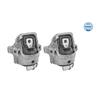 MEYLE Engine Mounting 100 199 1407/S