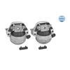 MEYLE Engine Mounting 100 199 3103/S