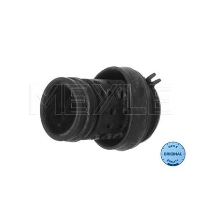 MEYLE Engine Mounting 100 199 0062