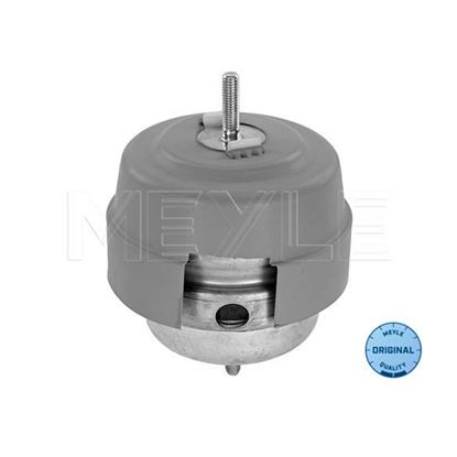 MEYLE Engine Mounting 100 199 0189