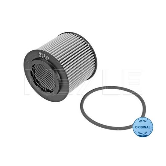 MEYLE Engine Oil Filter 100 322 0007