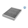 MEYLE Pollen Cabin Interior Air Filter 11-12 320 0011