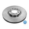 2x MEYLE Brake Disc 11-15 521 0030