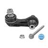 MEYLE LinkCoupling Rod stabiliser 116 060 0039