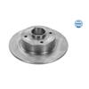 2x MEYLE Brake Disc 16-15 523 0016