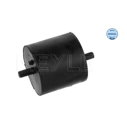 MEYLE Engine Mounting 300 118 1120