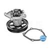 MEYLE Water Pump 30-13 161 0010
