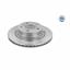 2x MEYLE Brake Disc 315 523 0049/PD