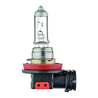 HELLA Fog Light Bulb 8GH 186 996-001