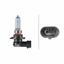 HELLA Spotlight Bulb 8GH 223 498-161