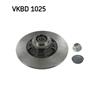 SKF Brake Disc VKBD 1025