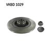 SKF Brake Disc VKBD 1029