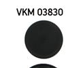 SKF Alternator Freewheel Clutch Pulley VKM 03830
