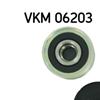 SKF Alternator Freewheel Clutch Pulley VKM 06203