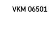 SKF Alternator Freewheel Clutch Pulley VKM 06501